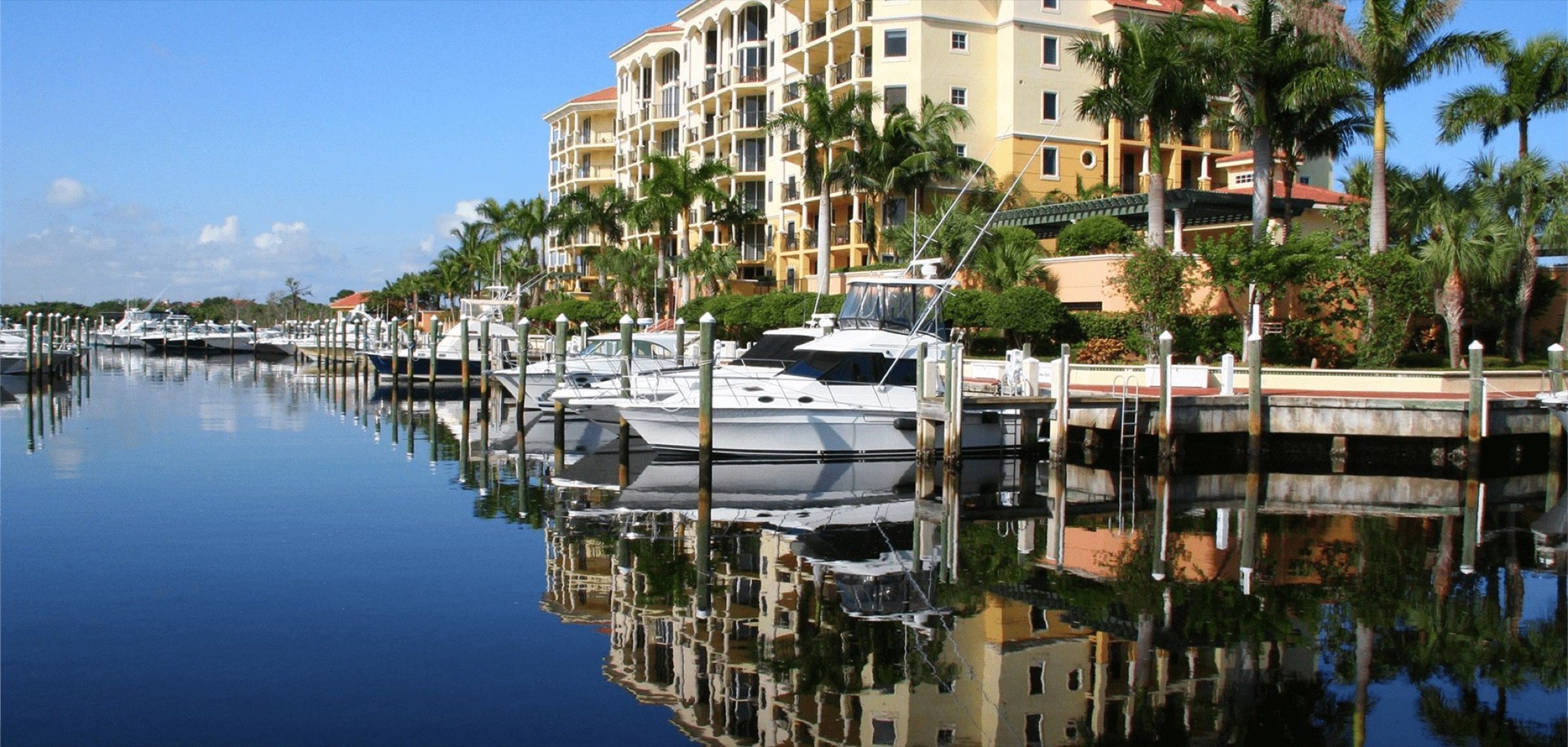 Moored boats and palm trees mirrored in still water