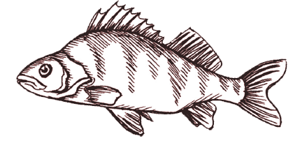 fish-icon-1